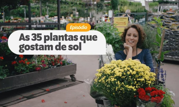 Shopping Garden - 35 PLANTAS que AMAM SOL (boas para CALOR e FRIO)